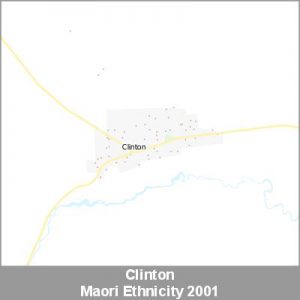 Ethnicity Clinton Maori ProductImage 2001