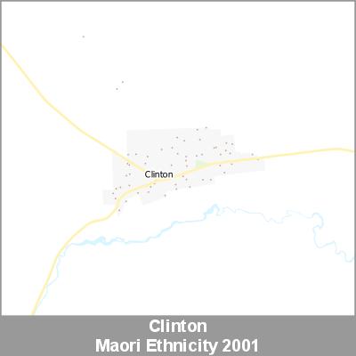 Ethnicity Clinton Maori ProductImage 2001