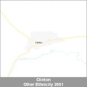 Ethnicity Clinton Other ProductImage 2001
