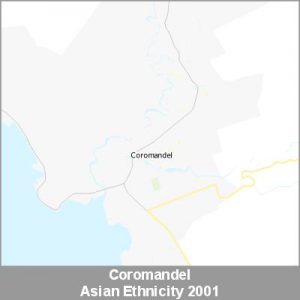 Ethnicity Coromandel Asian ProductImage 2001