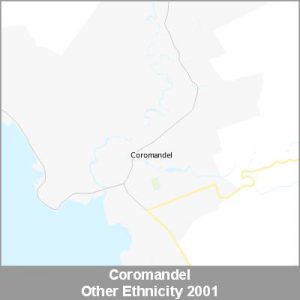 Ethnicity Coromandel Other ProductImage 2001