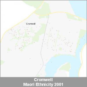 Ethnicity Cromwell Maori ProductImage 2001