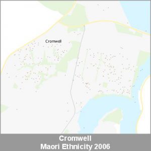 Ethnicity Cromwell Maori ProductImage 2006