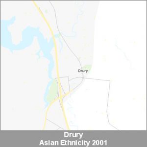 Ethnicity Drury Asian ProductImage 2001