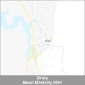 Ethnicity Drury Maori ProductImage 2001