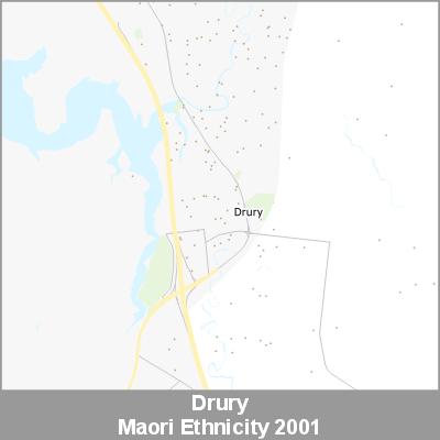 Ethnicity Drury Maori ProductImage 2001