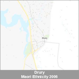 Ethnicity Drury Maori ProductImage 2006