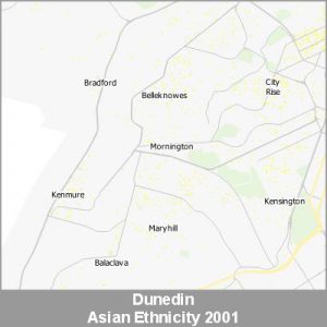 Ethnicity Dunedin Asian ProductImage 2001