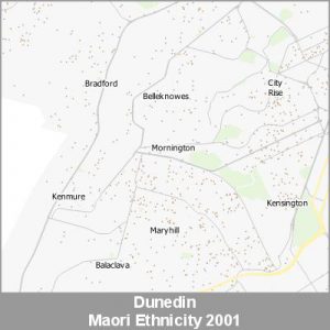 Ethnicity Dunedin Maori ProductImage 2001