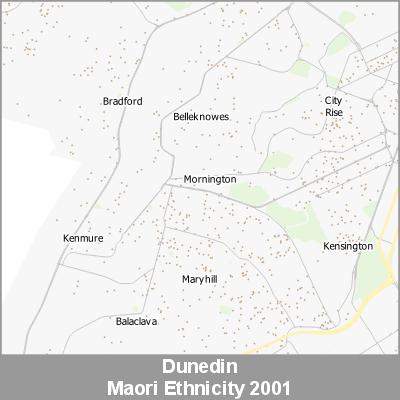 Ethnicity Dunedin Maori ProductImage 2001