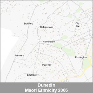 Ethnicity Dunedin Maori ProductImage 2006