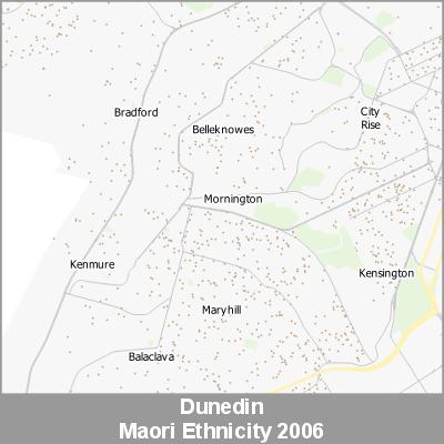 Ethnicity Dunedin Maori ProductImage 2006