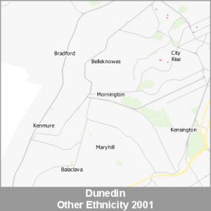 Ethnicity Dunedin Other ProductImage 2001