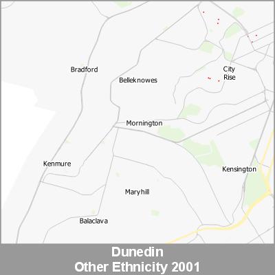 Ethnicity Dunedin Other ProductImage 2001