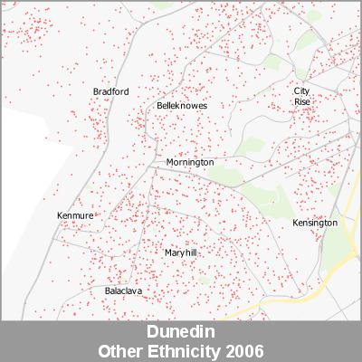 Ethnicity Dunedin Other ProductImage 2006