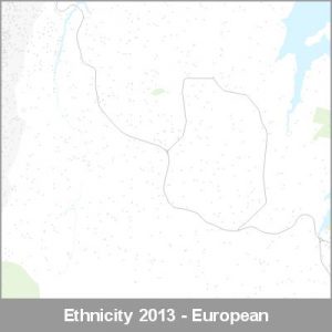 Ethnicity East Auckland European ProductImage 2013