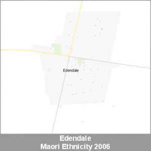 Ethnicity Edendale Maori ProductImage 2006