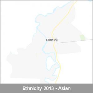 Ethnicity Eketahuna Asian ProductImage 2013