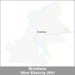 Ethnicity Eketahuna Other ProductImage 2001