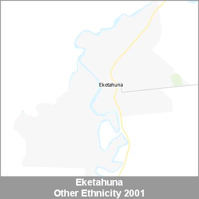 Ethnicity Eketahuna Other ProductImage 2001
