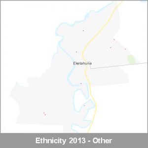 Ethnicity Eketahuna Other ProductImage 2013