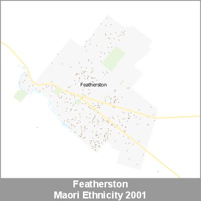 Ethnicity Featherston Maori ProductImage 2001