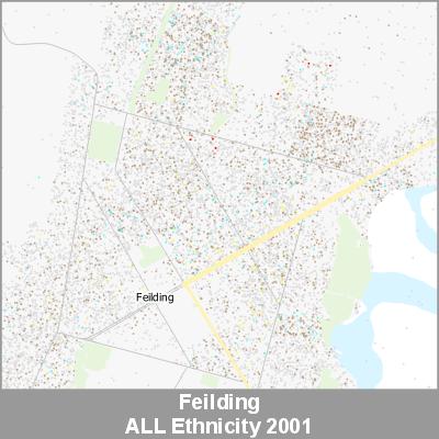 Ethnicity Feilding ALL ProductImage 2001