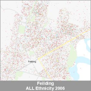 Ethnicity Feilding ALL ProductImage 2006