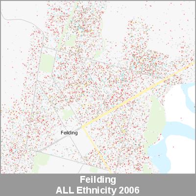 Ethnicity Feilding ALL ProductImage 2006