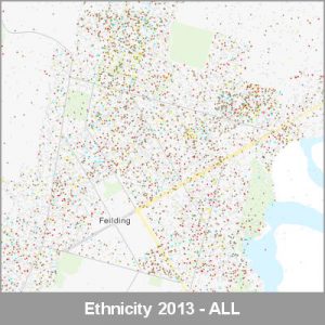 Ethnicity Feilding ALL ProductImage 2013