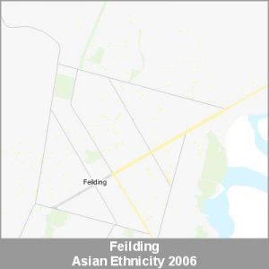 Ethnicity Feilding Asian ProductImage 2006