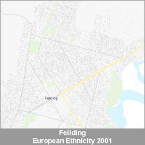 Ethnicity Feilding European ProductImage 2001