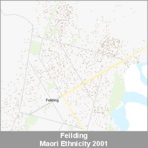 Ethnicity Feilding Maori ProductImage 2001