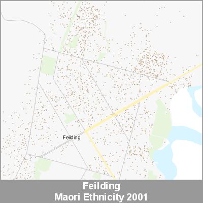 Ethnicity Feilding Maori ProductImage 2001