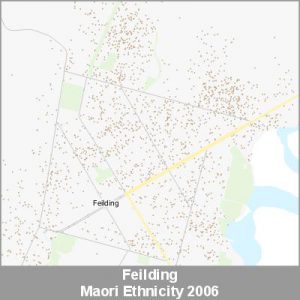 Ethnicity Feilding Maori ProductImage 2006