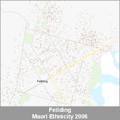 Ethnicity Feilding Maori ProductImage 2006