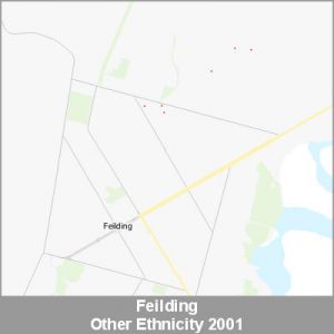 Ethnicity Feilding Other ProductImage 2001