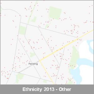 Ethnicity Feilding Other ProductImage 2013