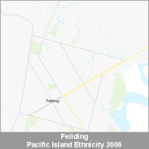 Ethnicity Feilding Pacific ProductImage 2006
