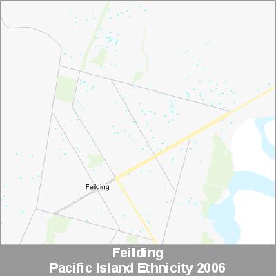 Ethnicity Feilding Pacific ProductImage 2006