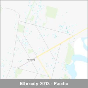 Ethnicity Feilding Pacific ProductImage 2013