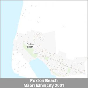 Ethnicity Foxton Beach Maori ProductImage 2001