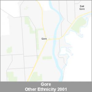 Ethnicity Gore Other ProductImage 2001