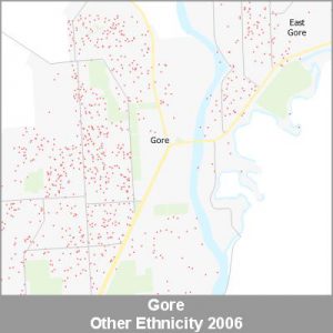 Ethnicity Gore Other ProductImage 2006