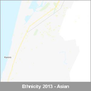 Ethnicity Greymouth Asian ProductImage 2013