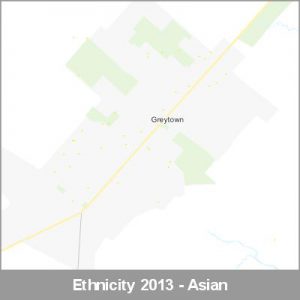 Ethnicity Greytown Asian ProductImage 2013