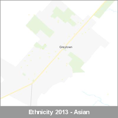 Ethnicity Greytown Asian ProductImage 2013