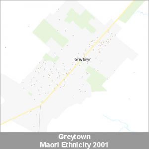 Ethnicity Greytown Maori ProductImage 2001
