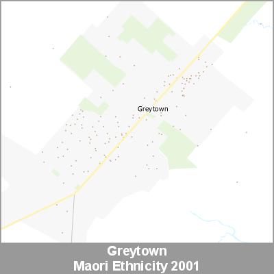 Ethnicity Greytown Maori ProductImage 2001
