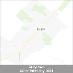 Ethnicity Greytown Other ProductImage 2001